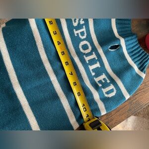 Pet sweater